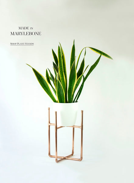 Plant Stand, Copper Frame